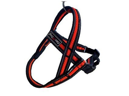 Postroj Gimborn Mesh Y 3,2 x 85 88-110 cm oranžový