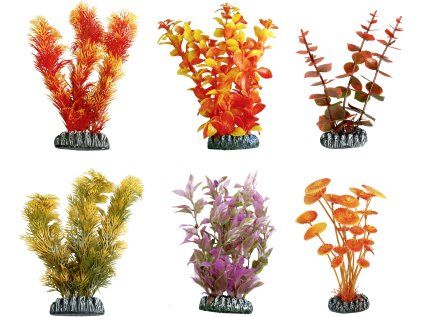 Flamingo akvarijní rostliny mix CUBA XS