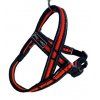 Postroj Gimborn Mesh Y 2,0 x 45 52-60 cm oranžový