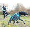 I-Dog ALM Phoneix postroj, modrý XS