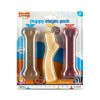 Nylabone hračka Puppy kost příchuť kuřecí, slanina+javor.sirup, hovězí M 3ks