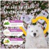 Brit dentální pamlsek pro psy Mobility with Curcuma & Collagen 7ks