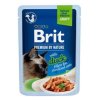 Brit Premium Cat Delicate Fillets in Gravy with Duck for Sterilised 85 g